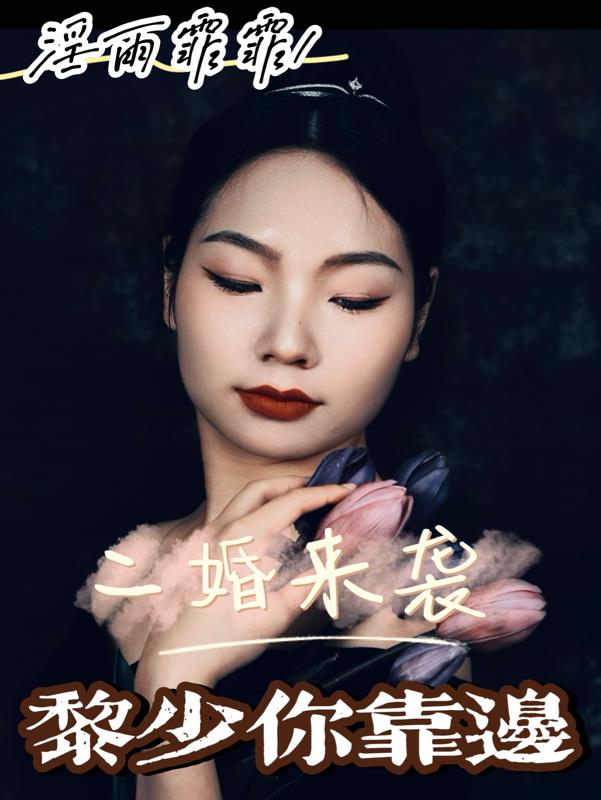 二婚来袭,黎少你靠边